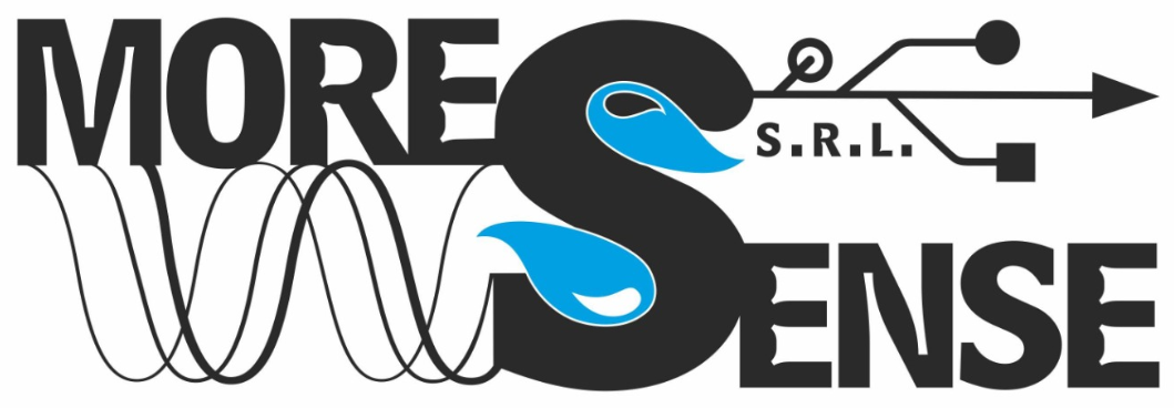 cropped moresense logo